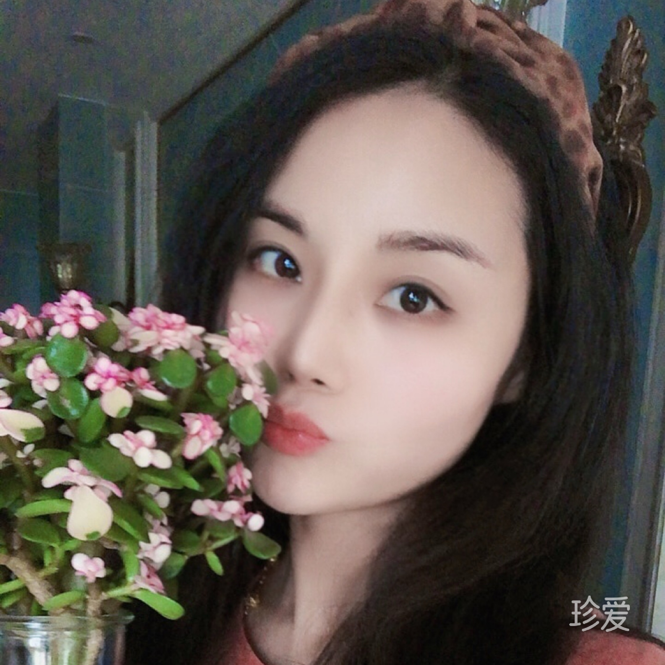 木菀