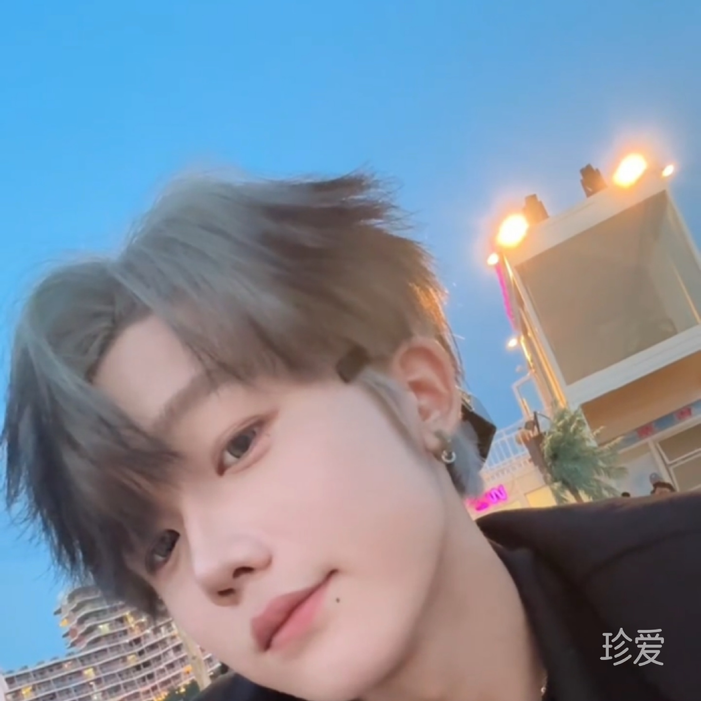 我一定要寻到真爱