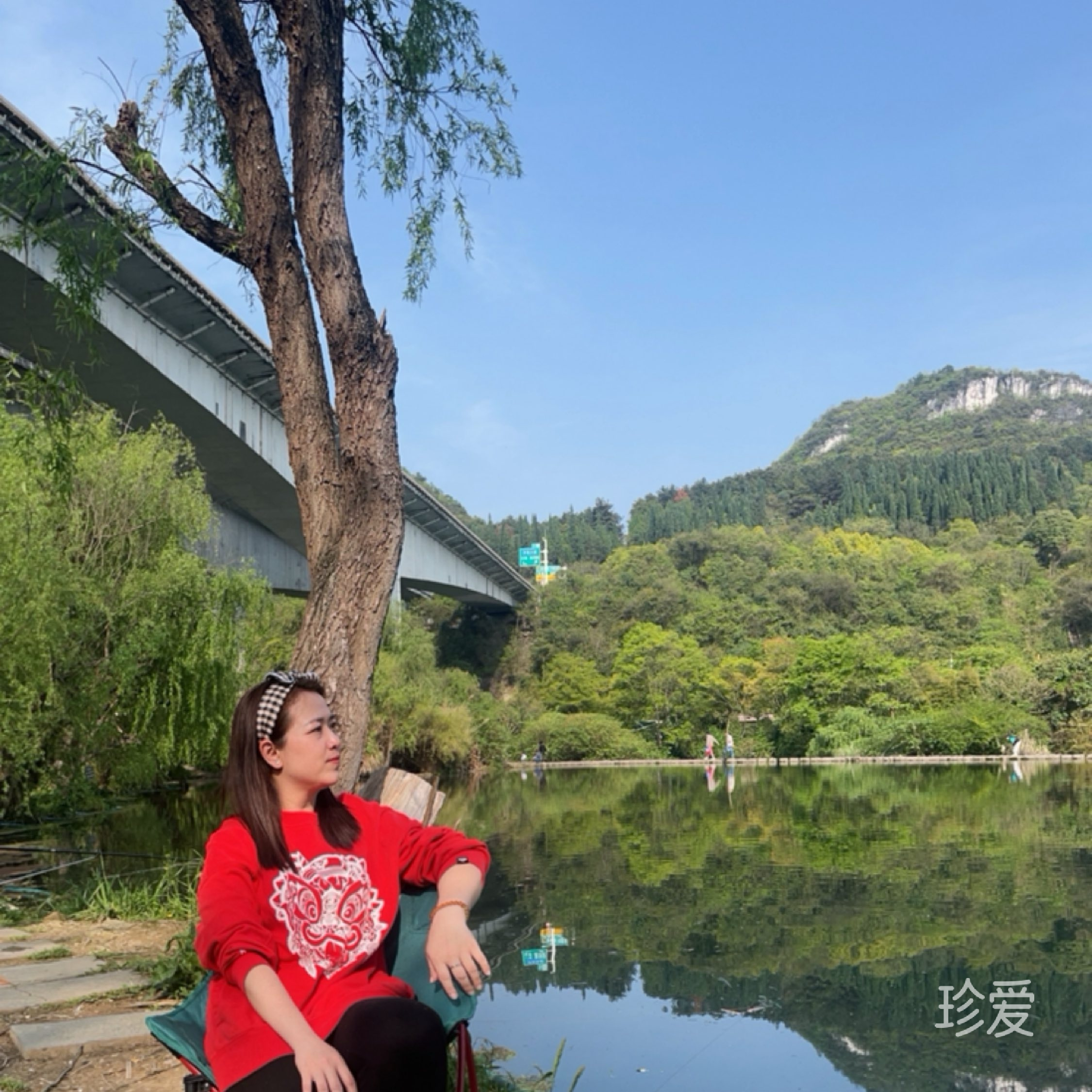 高姿态
