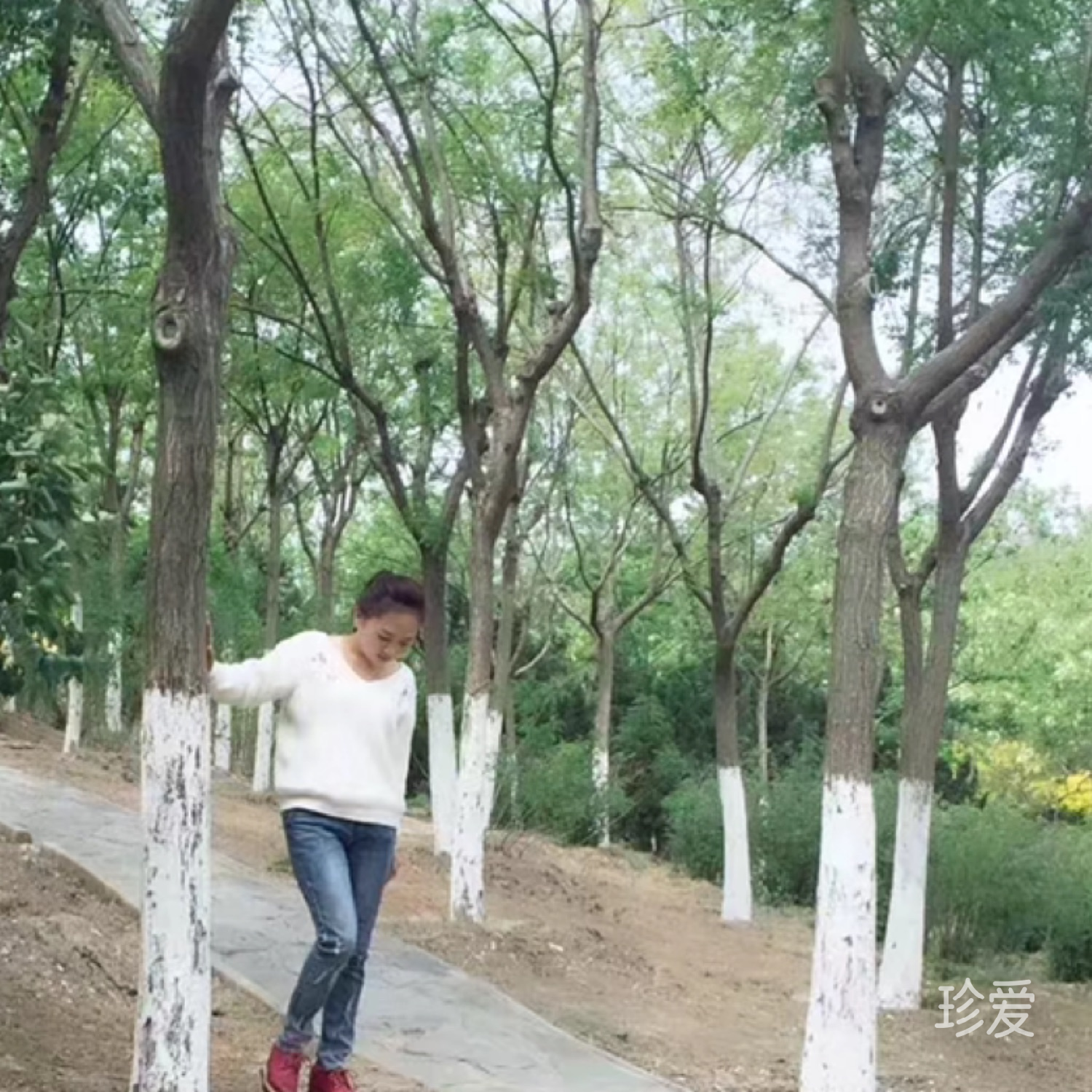 不大不小的女人