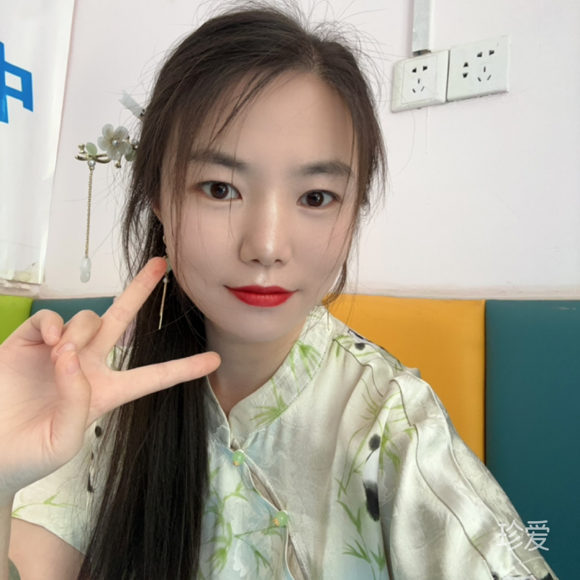 慵懒的猫