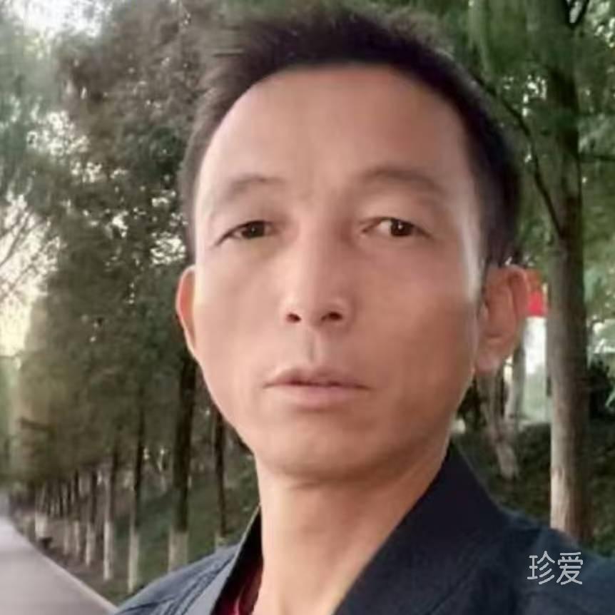 醉清影随缘