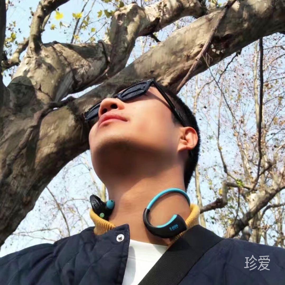 奔奔王国里的笨笨