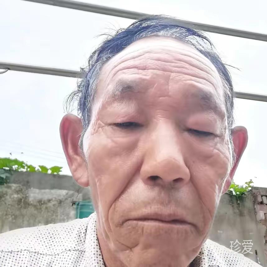 你好我好大家好