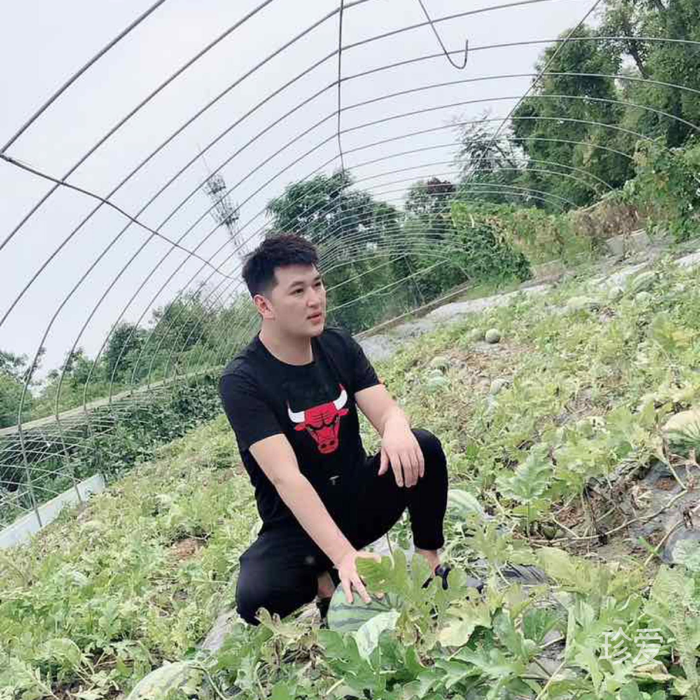 Ta说