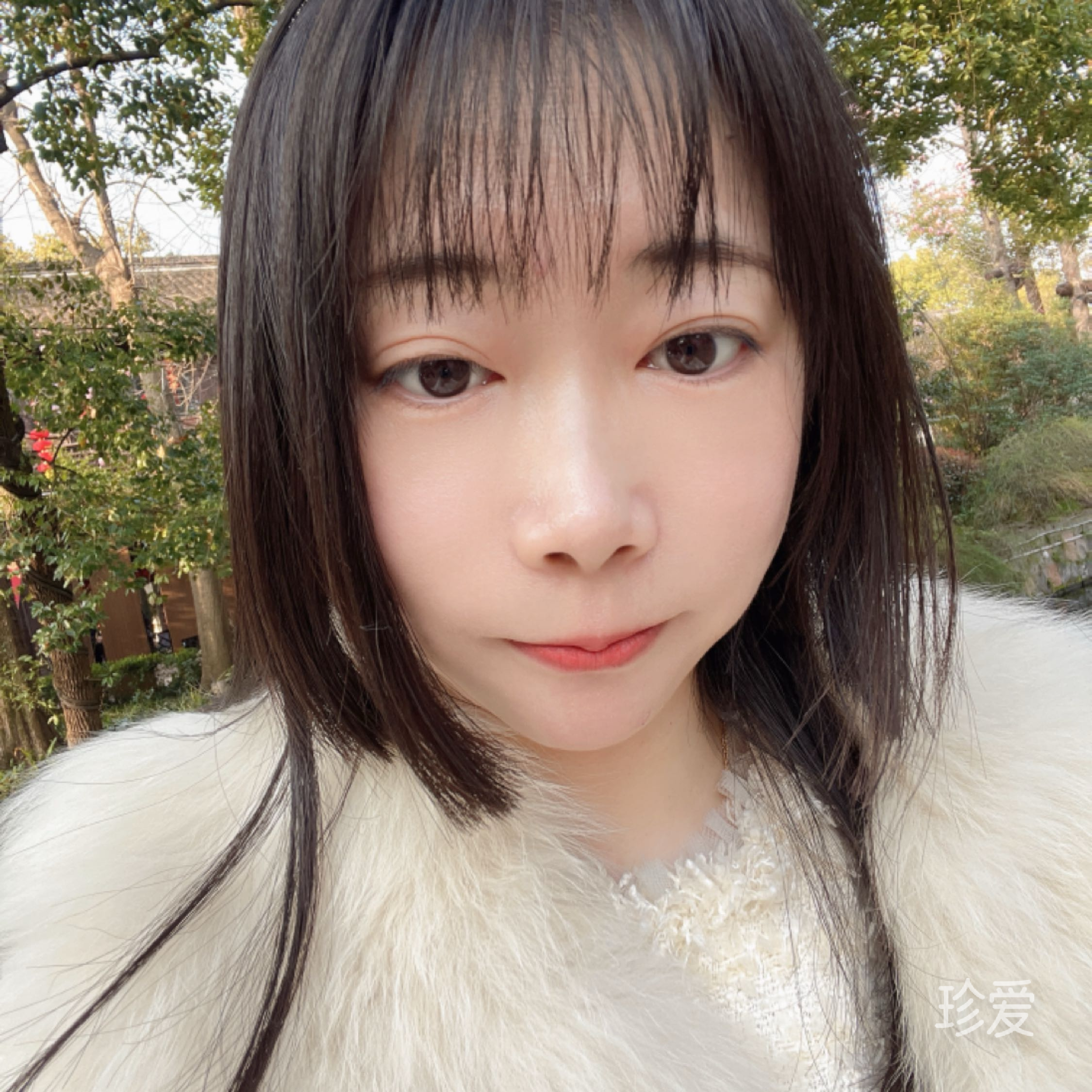 半壶纱