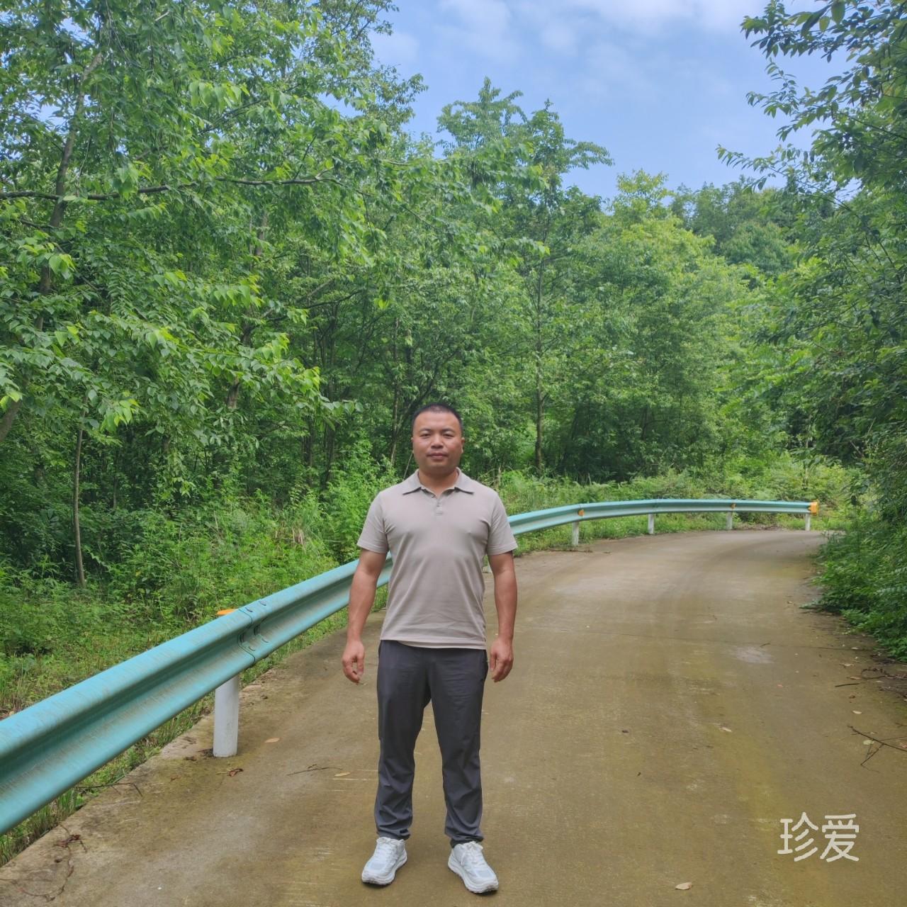 酉帛
