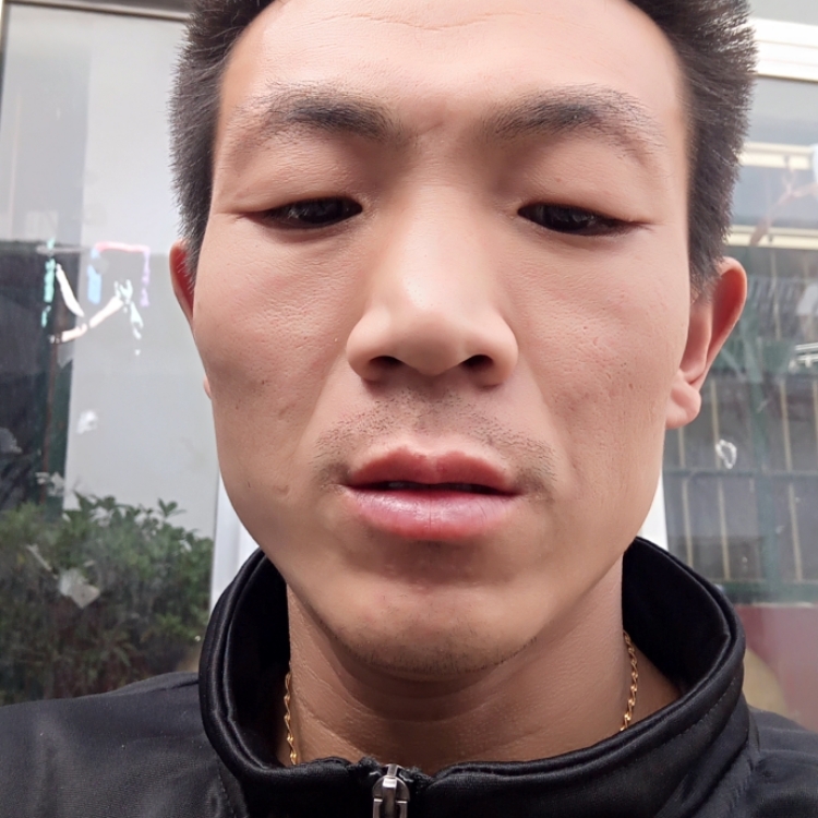 寻找人生的伴侣