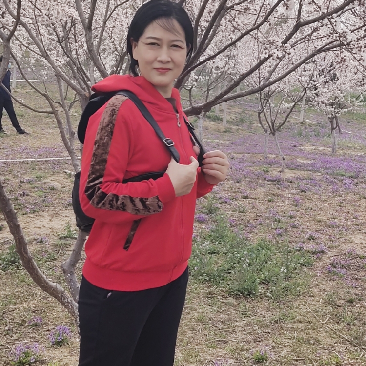 一半清橙一半憂傷