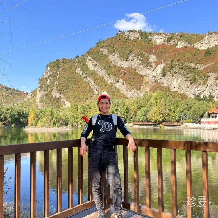 不要浪漫的孩子