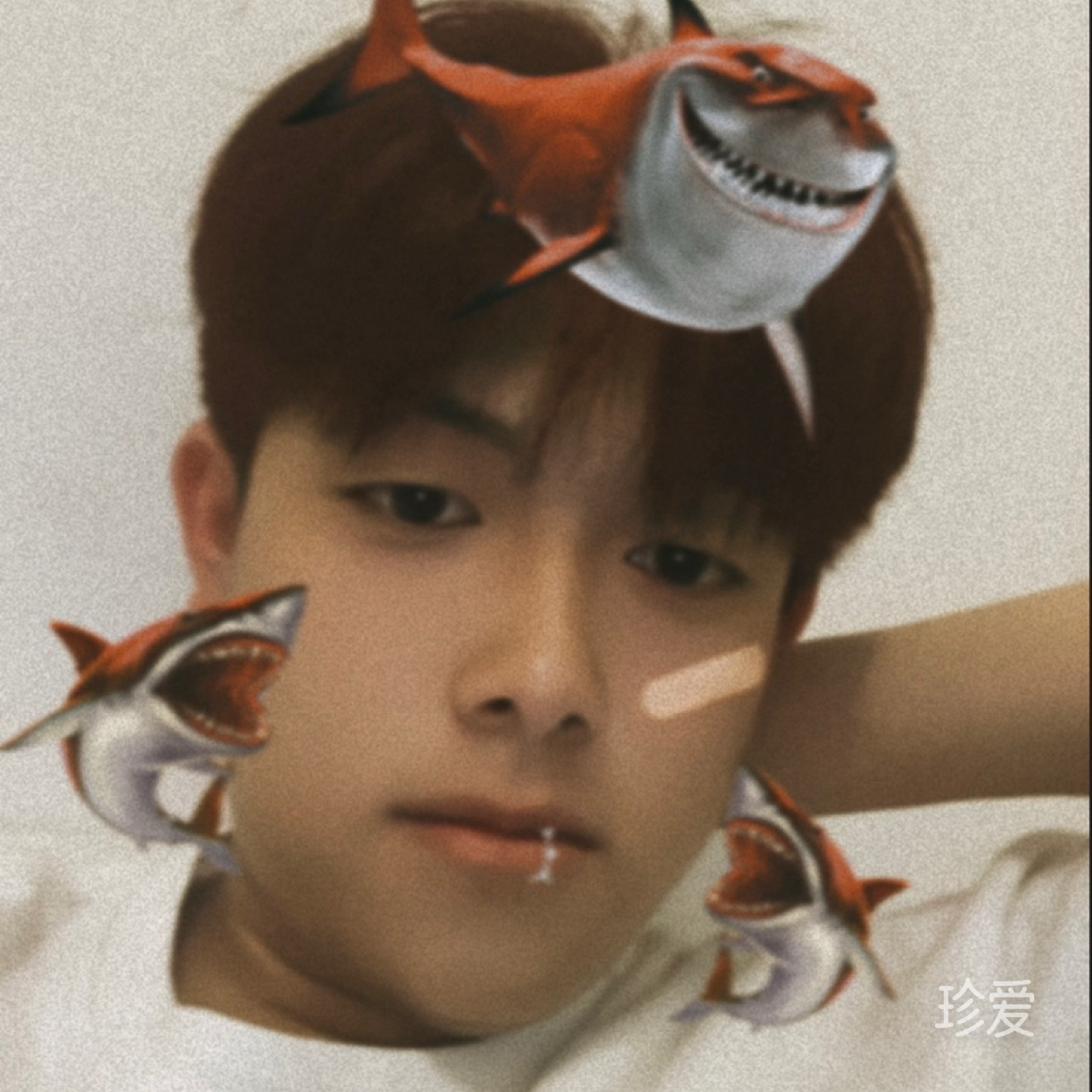 思扬