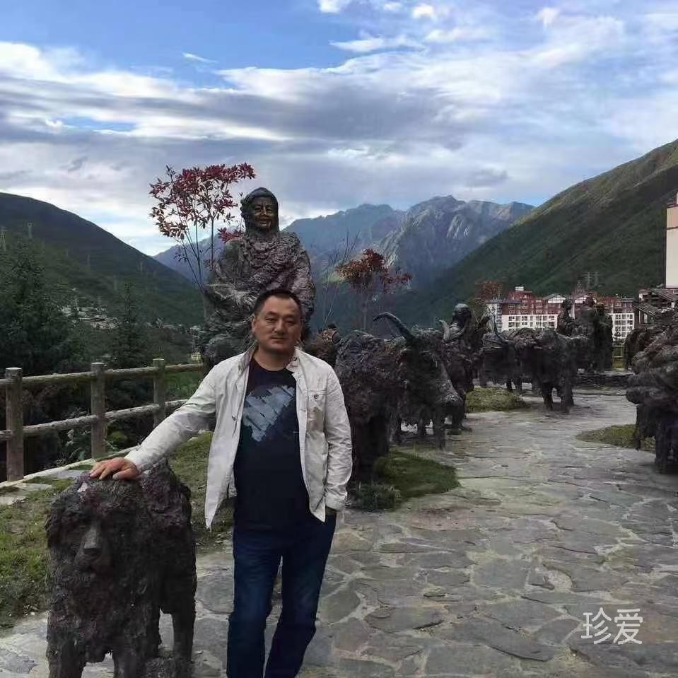 山鹰