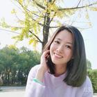 沙漠中的仙人掌