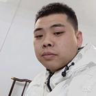 沁水游木