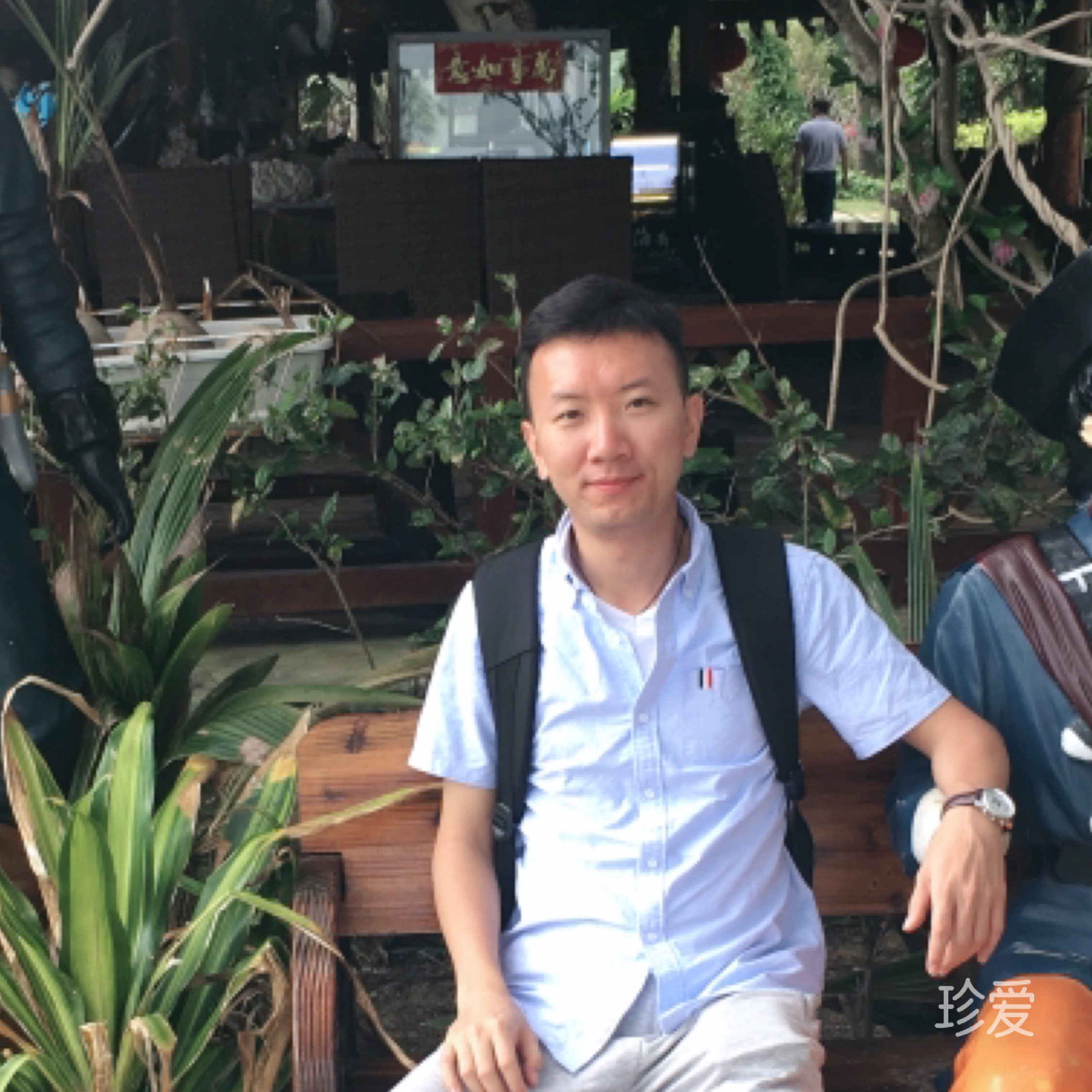 飘不下的落叶