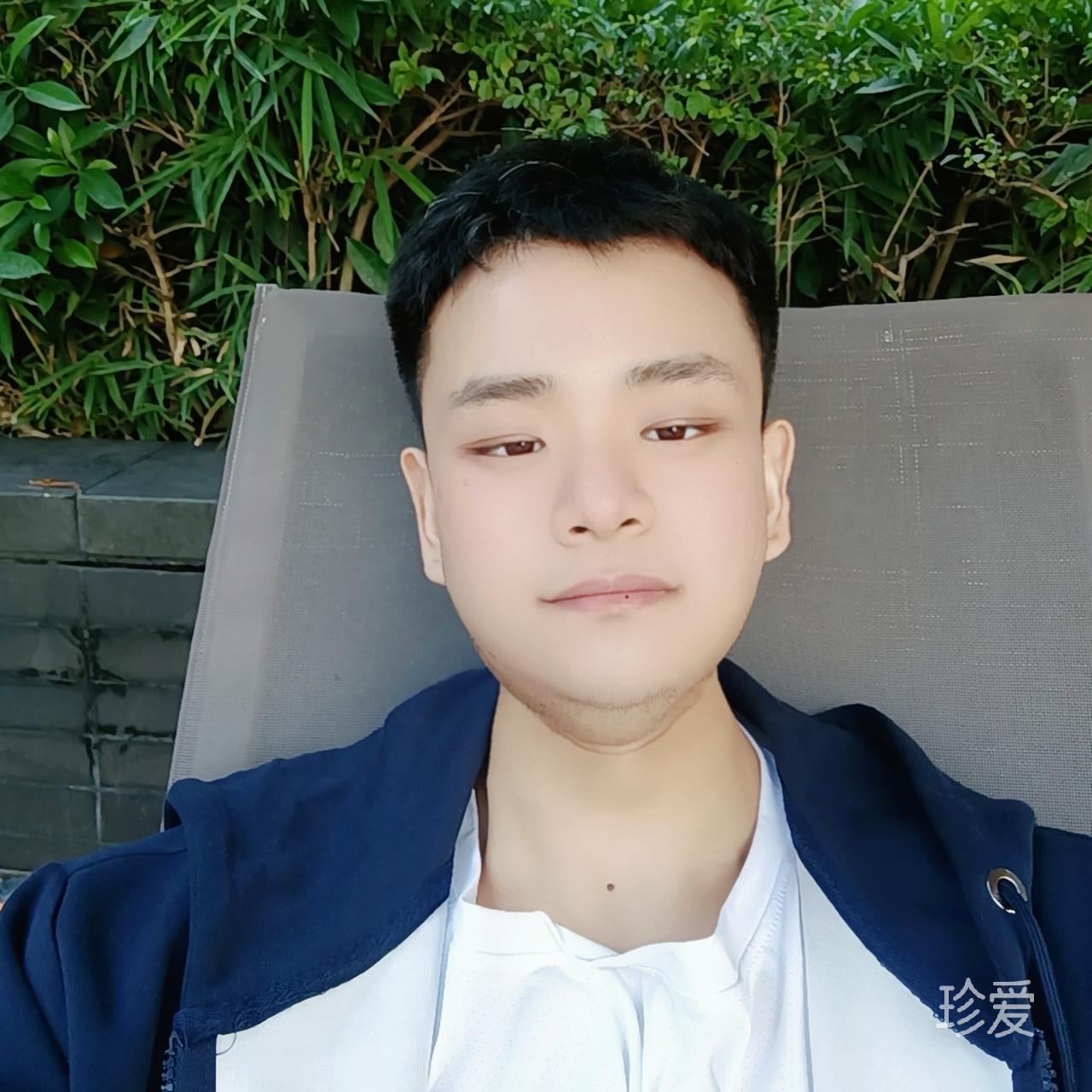 陽光與藍(lán)貓