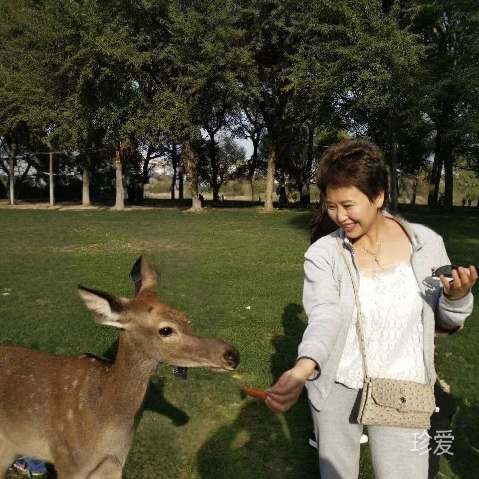 且行且漫步