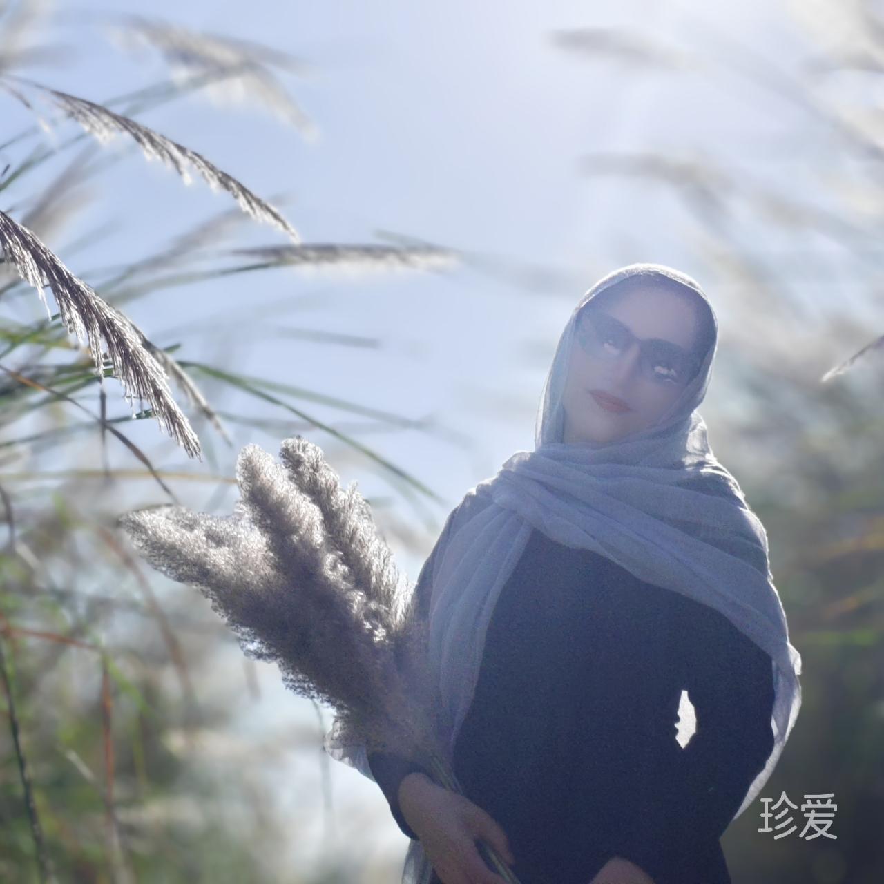 雨后彩虹