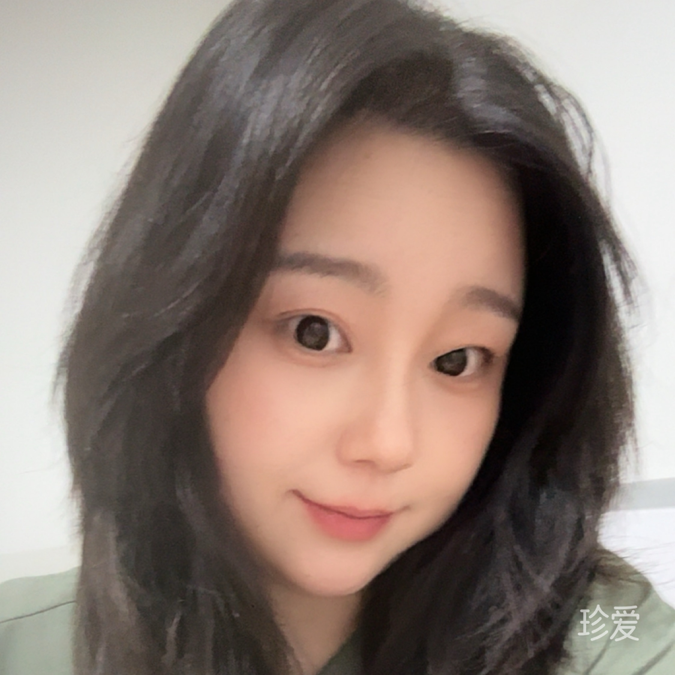 夏天的玫瑰