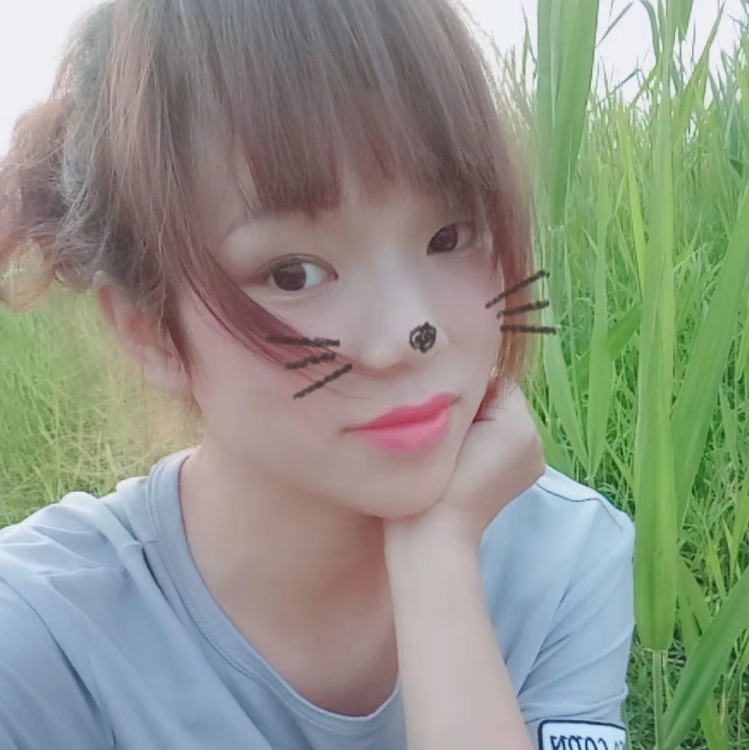 丢了幸福的笨猪