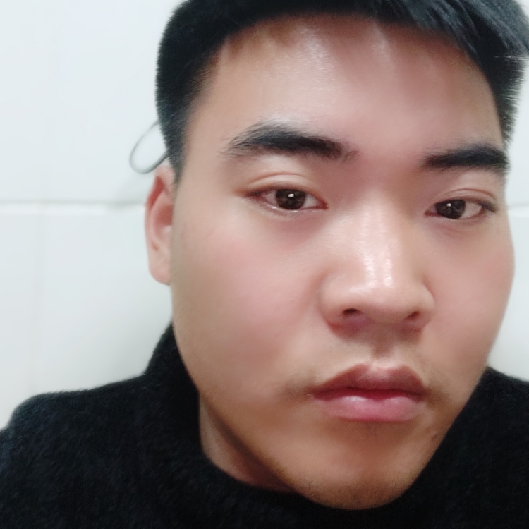 西岛猫纪年
