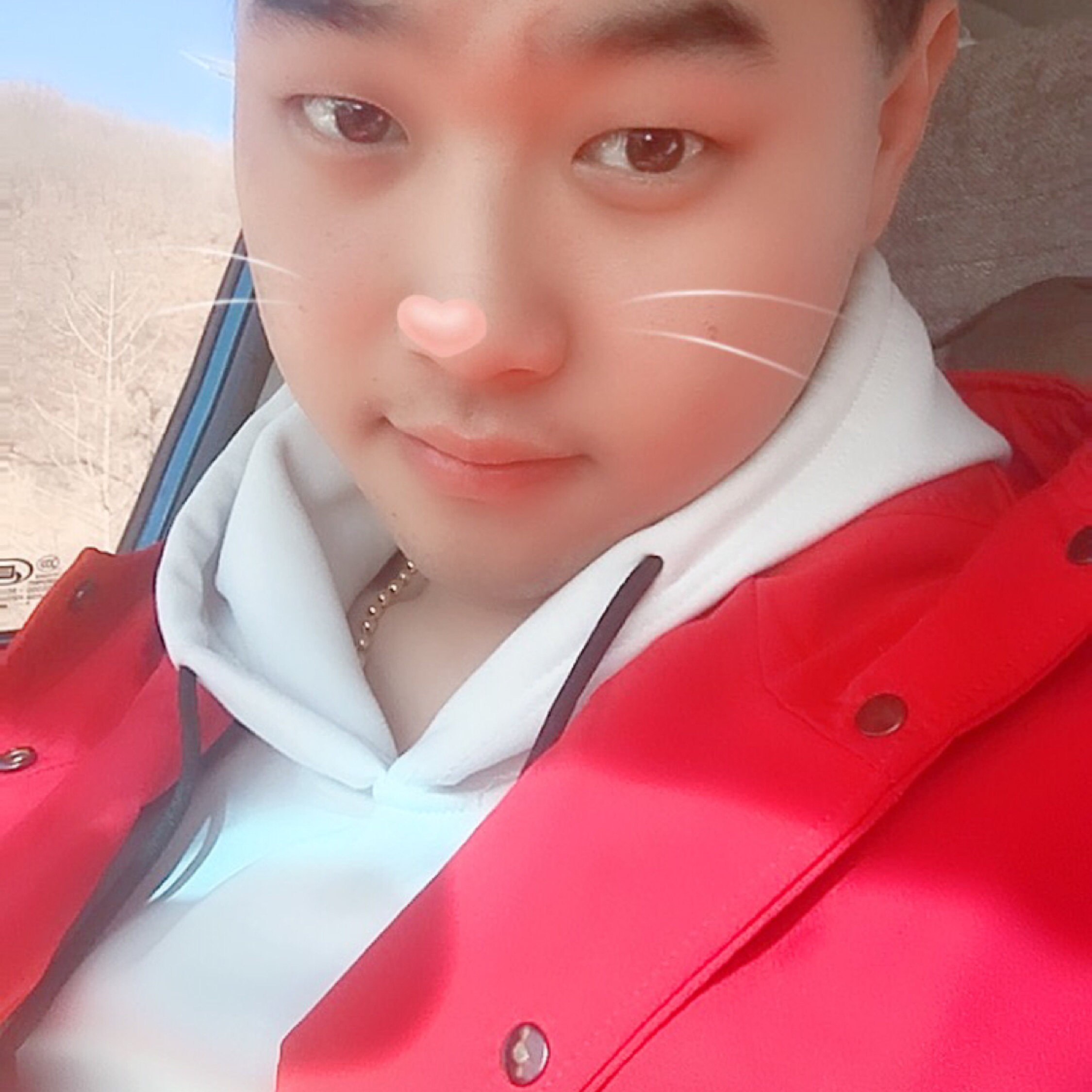 人生若只若初见