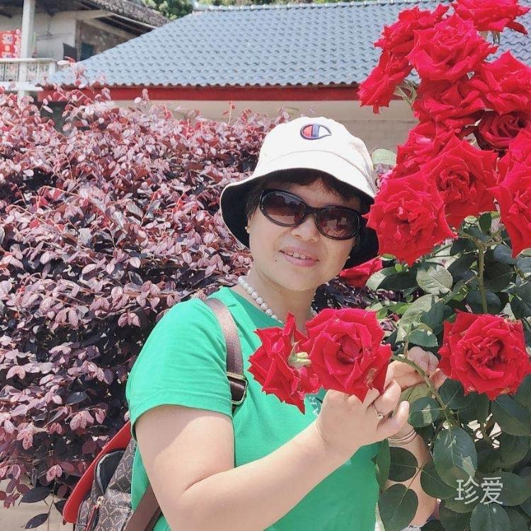 嗨你好