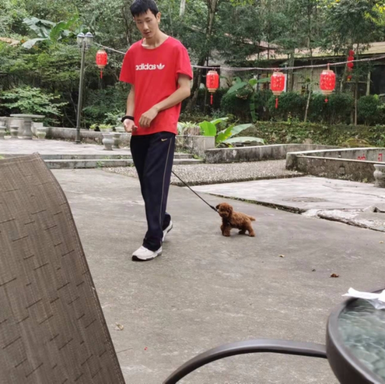 平平淡淡才是真！