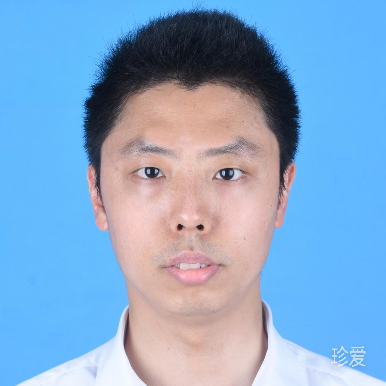 勇敢的蚂蚁