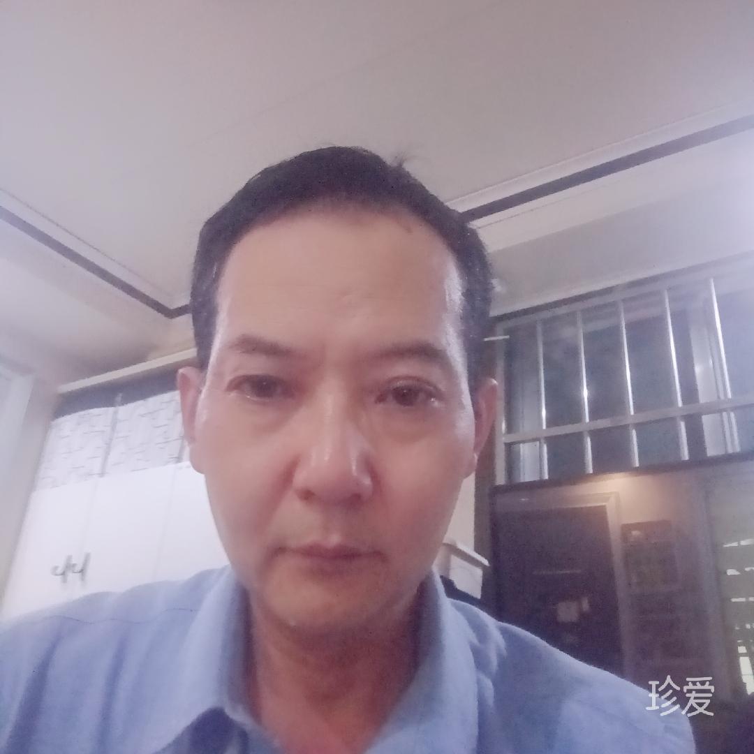 哈利波菜
