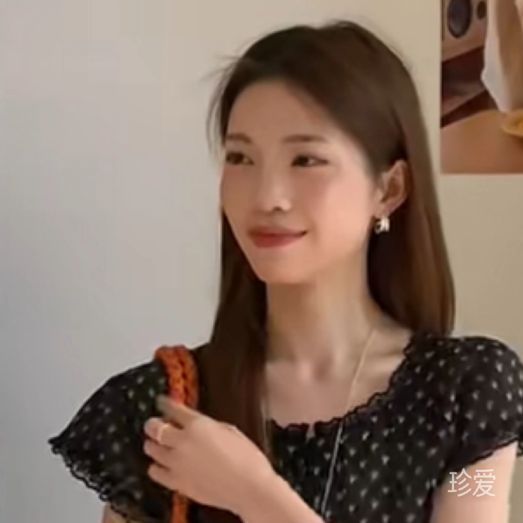 阳光猫在角落