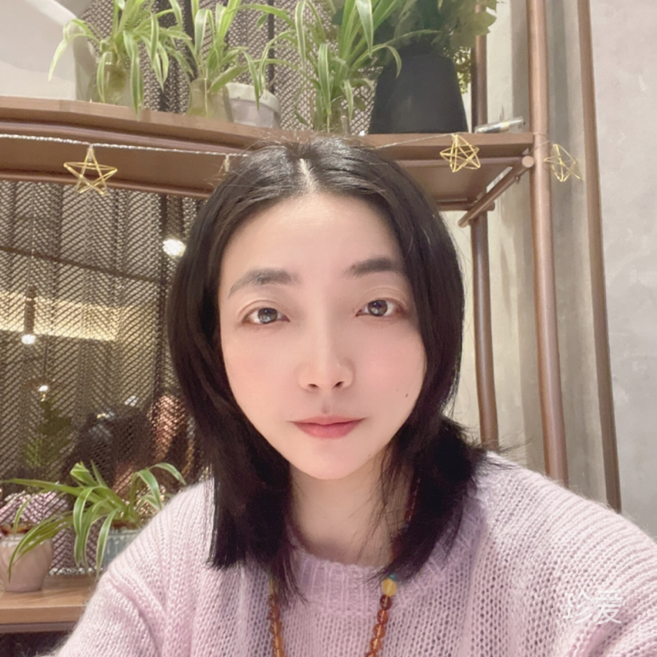 陽光總在風雨后