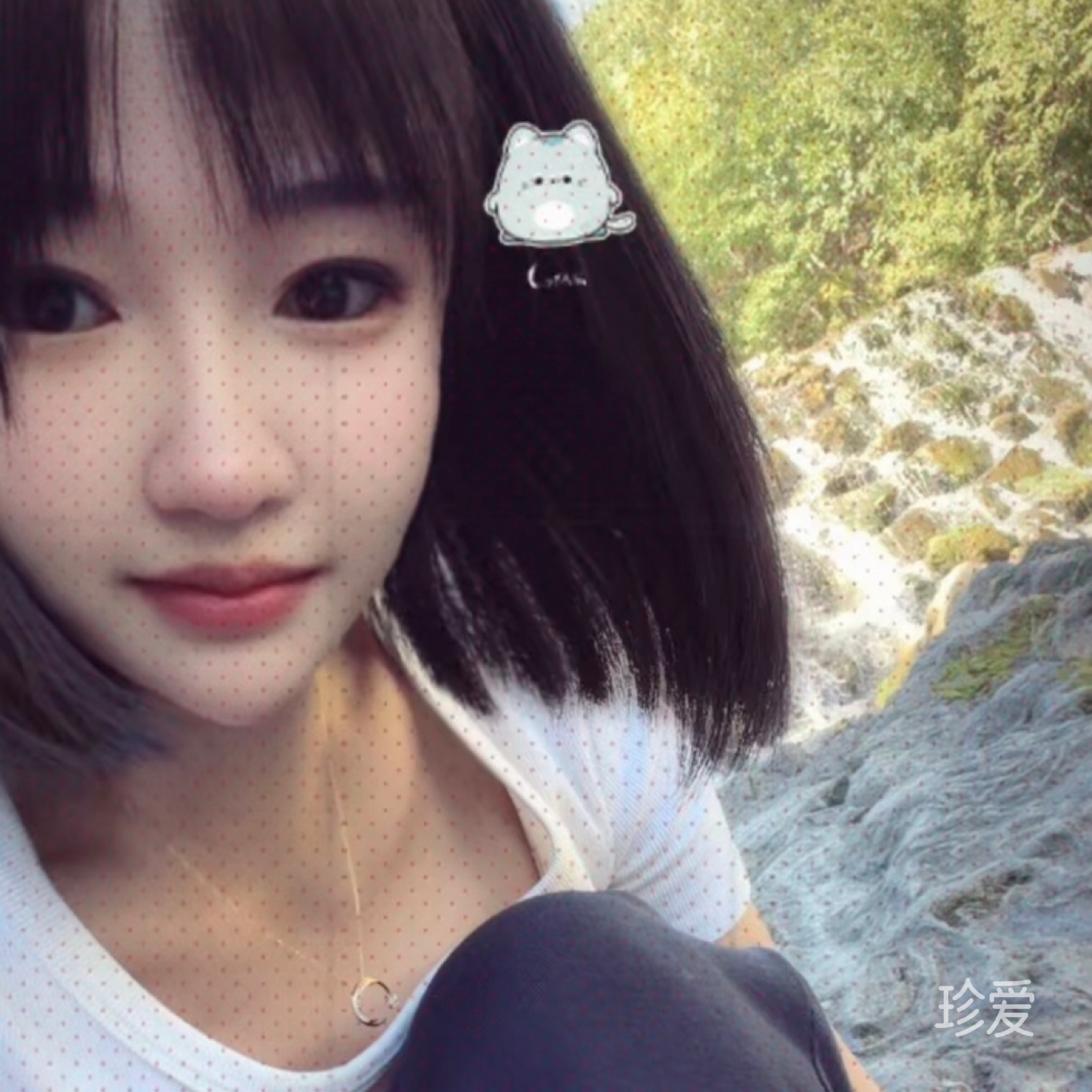 浮水柔茶