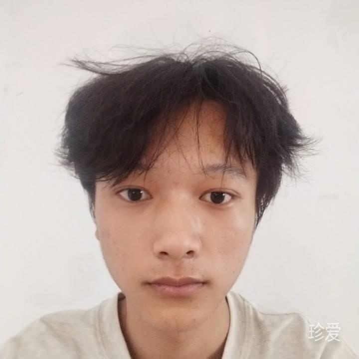 真谊