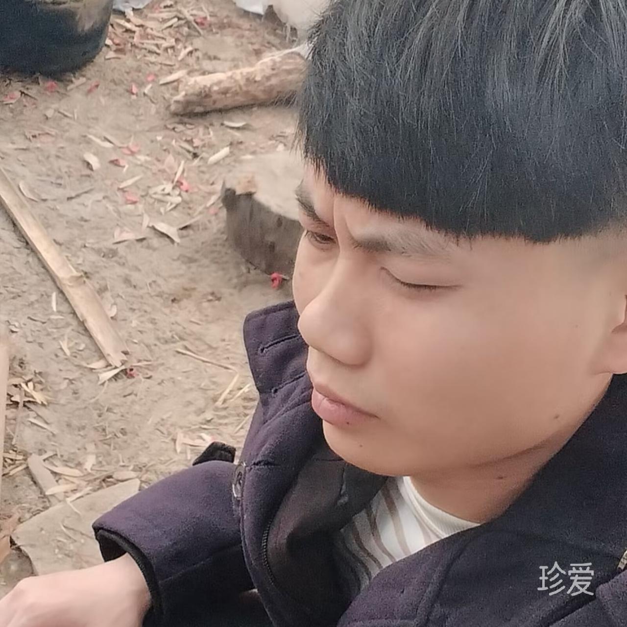 昨夜在梦里我又遇