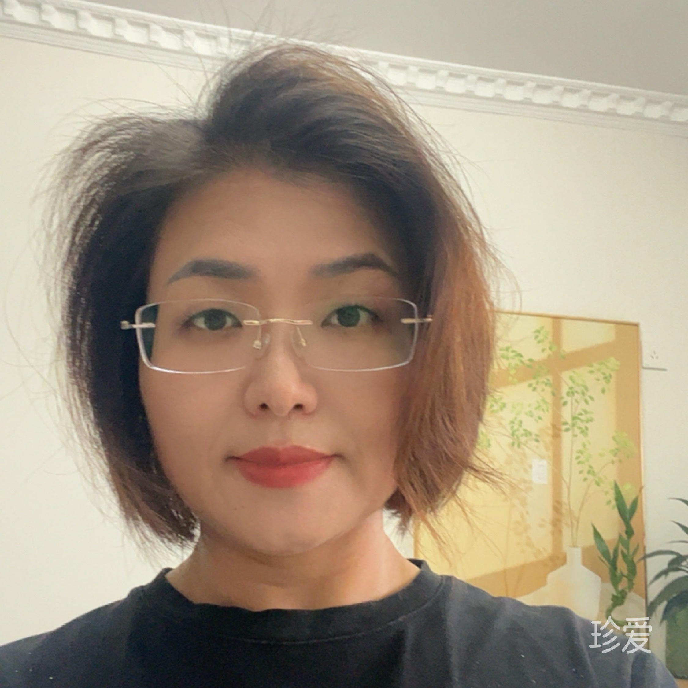 秋叶春芽