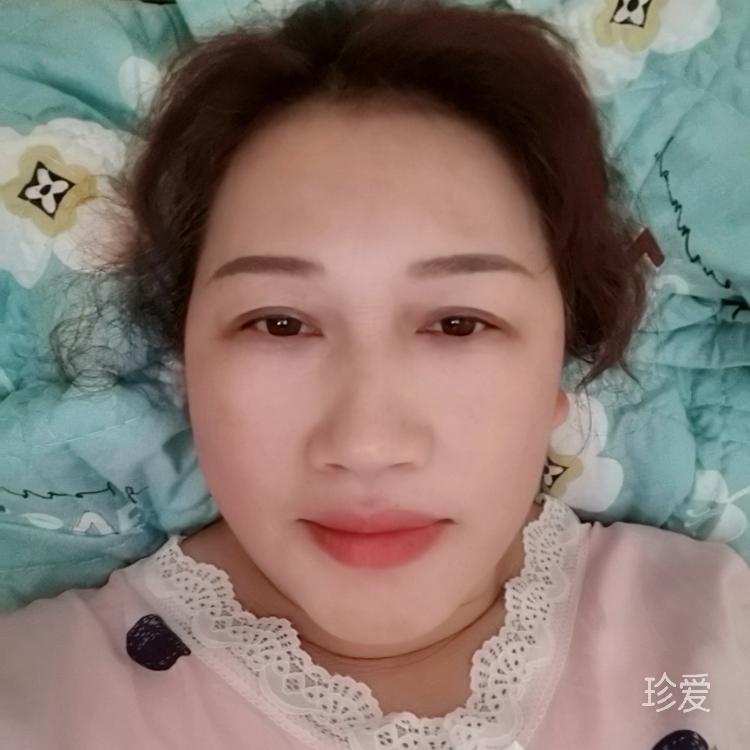 追風(fēng)的葉子