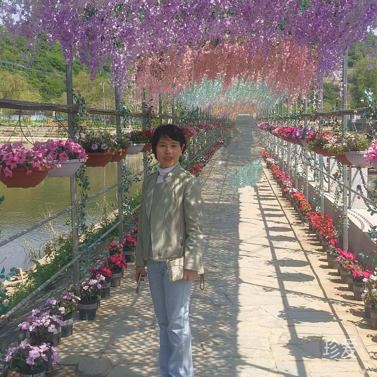 沐洋