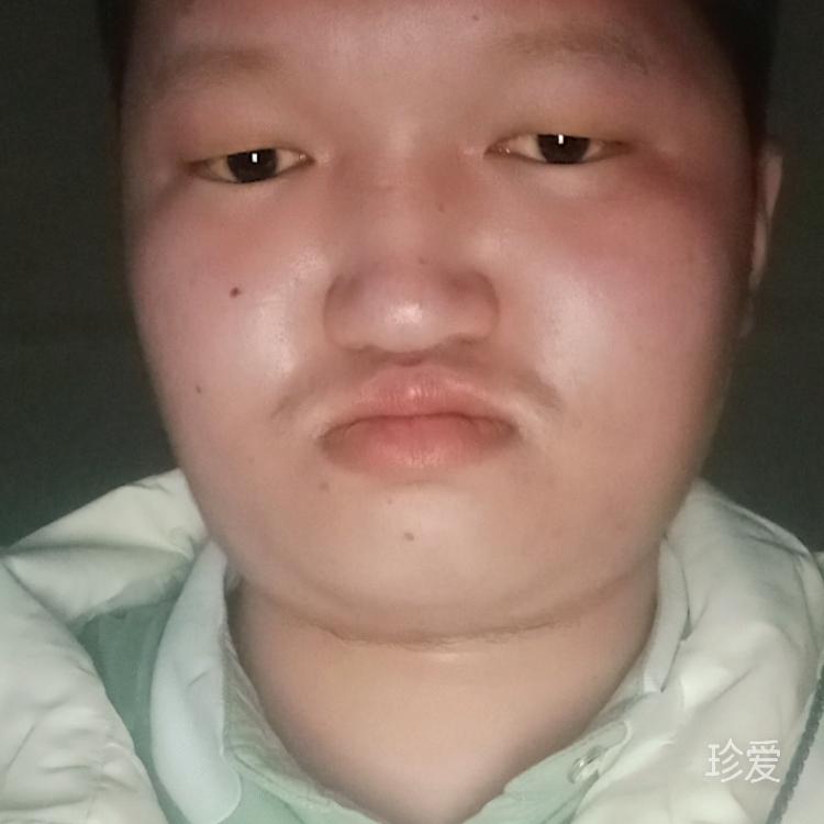 天空的飞鸟