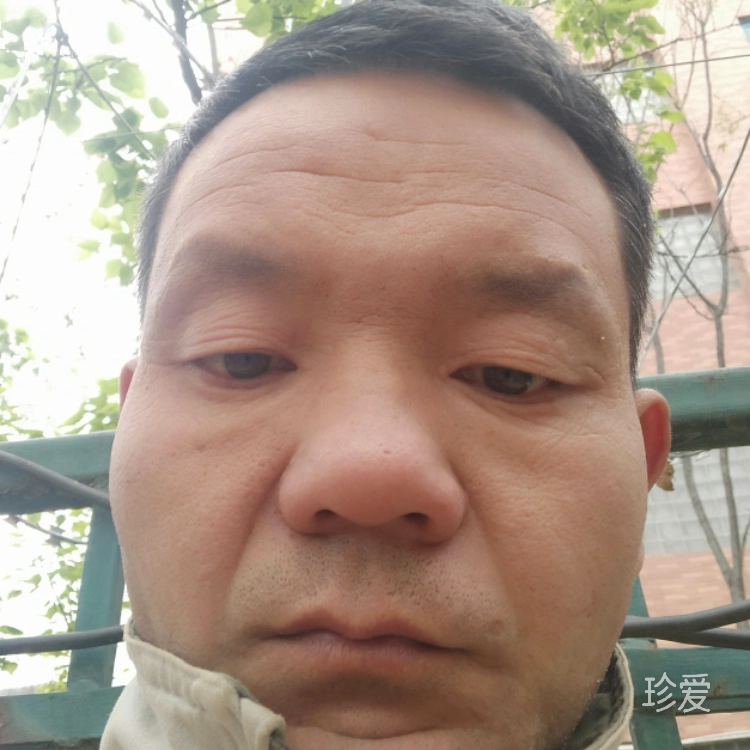 巴黎铁塔下的苦涩