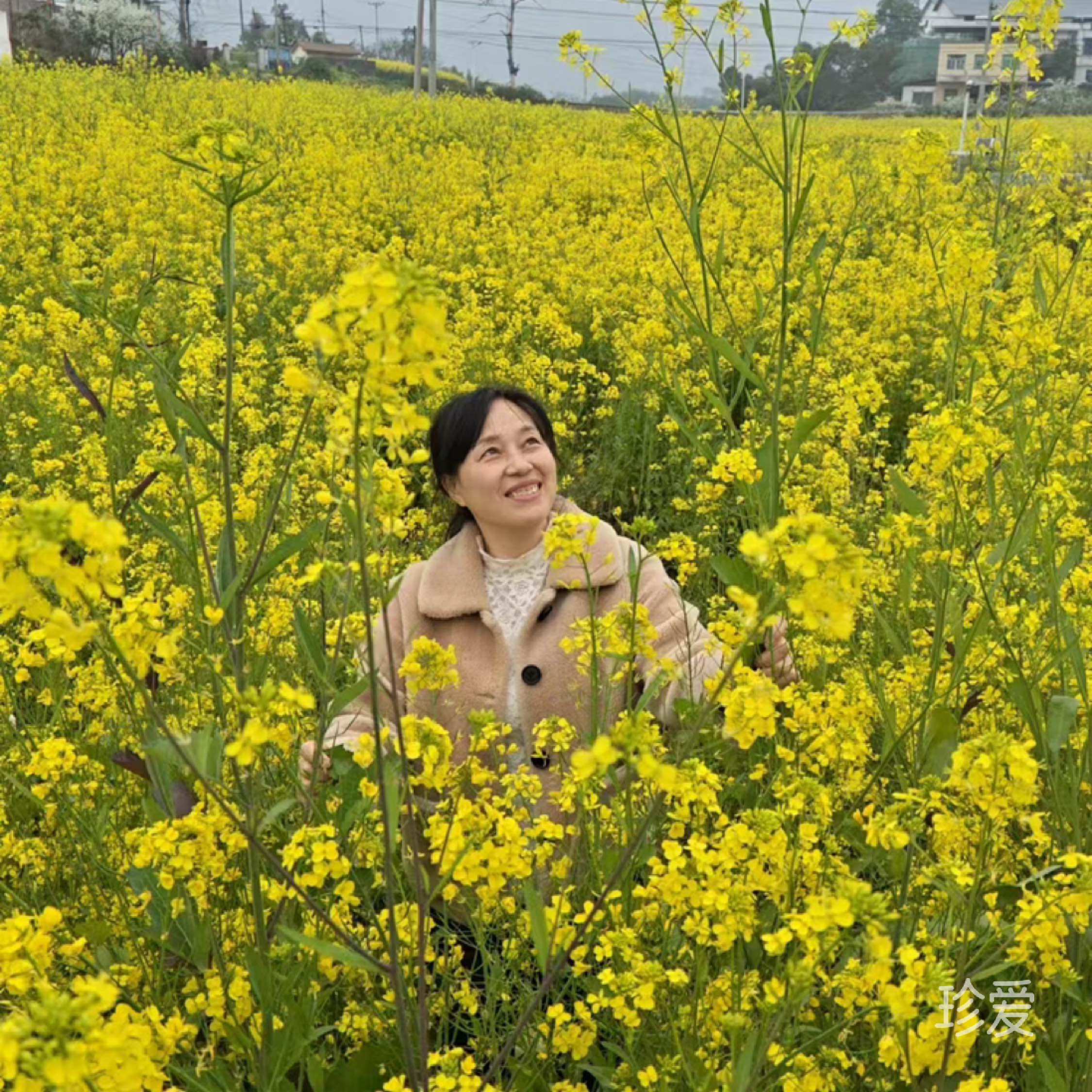 陈心如意