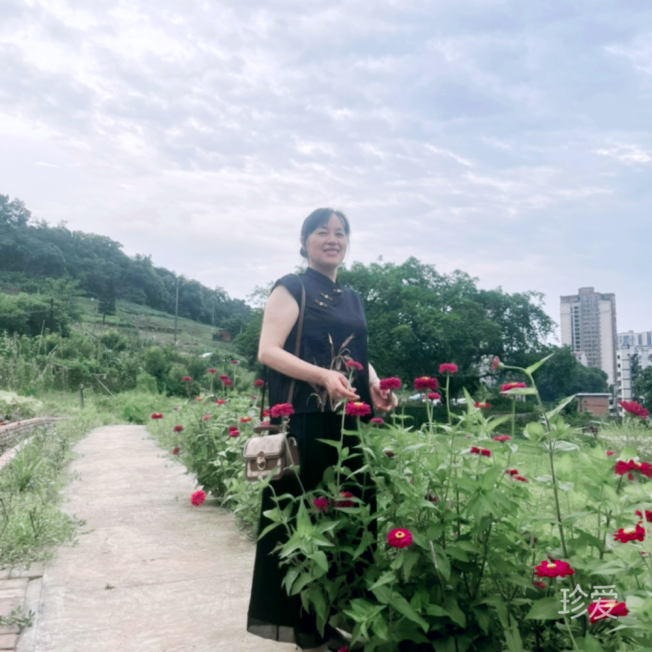 陈心如意