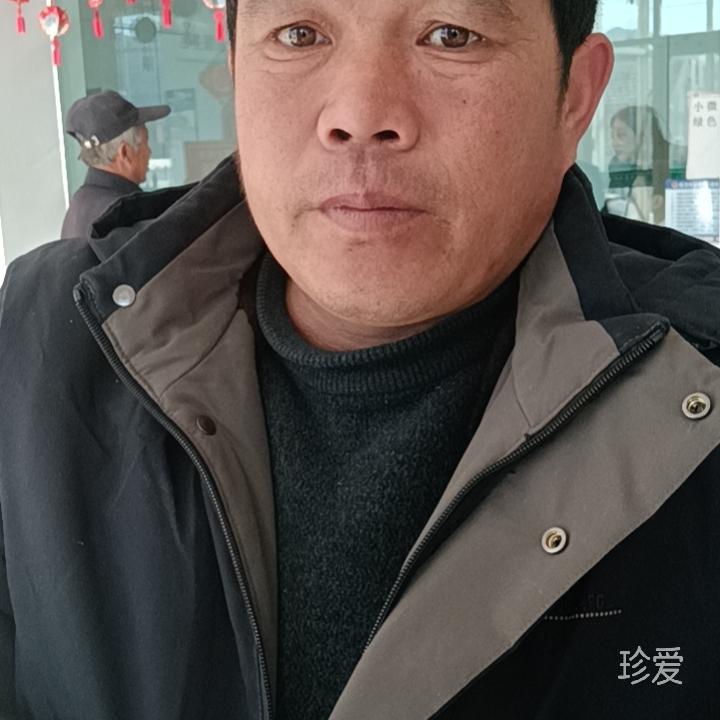 不要敷衍我