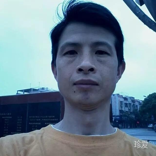 风吹竹林独听雨