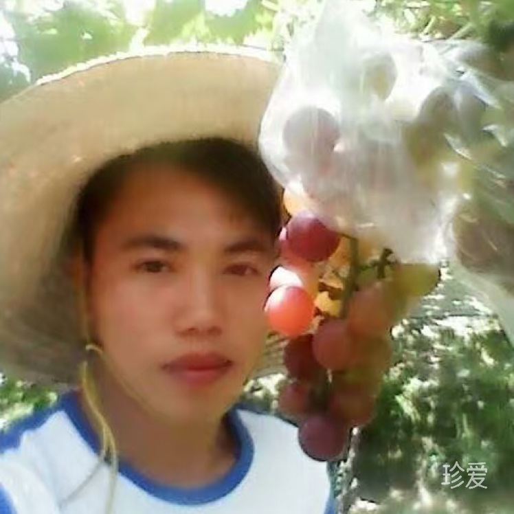 一生愛你愛吻定情