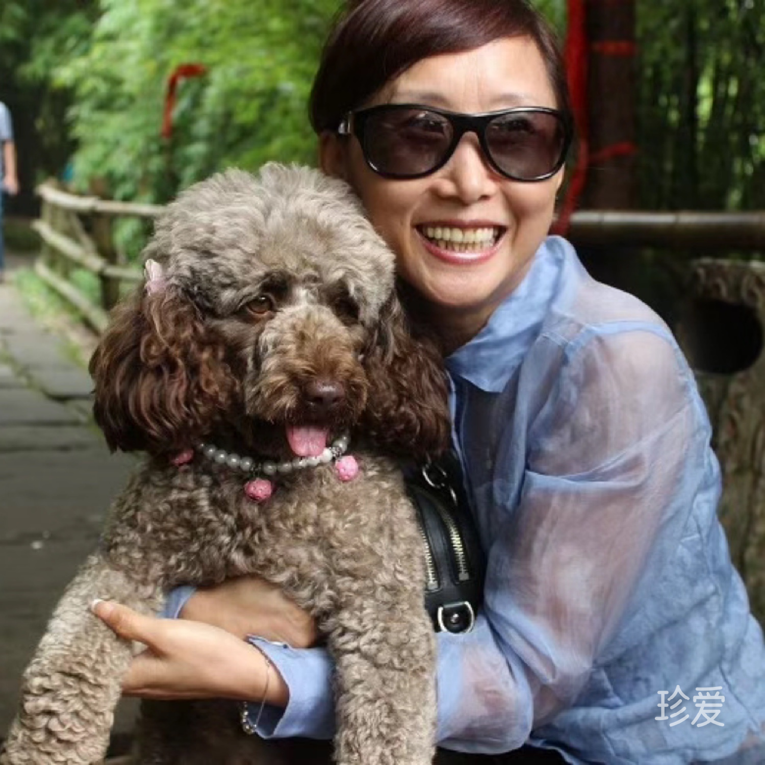 浮生若夢為歡幾何