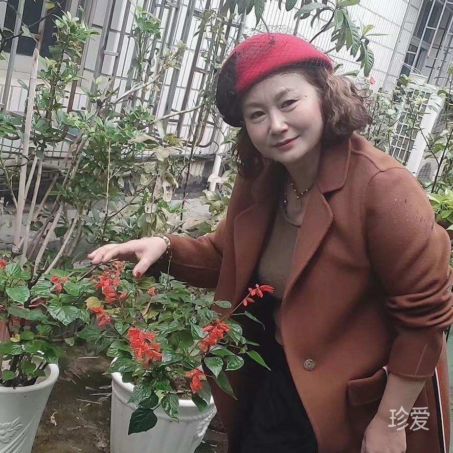 情人节礼物