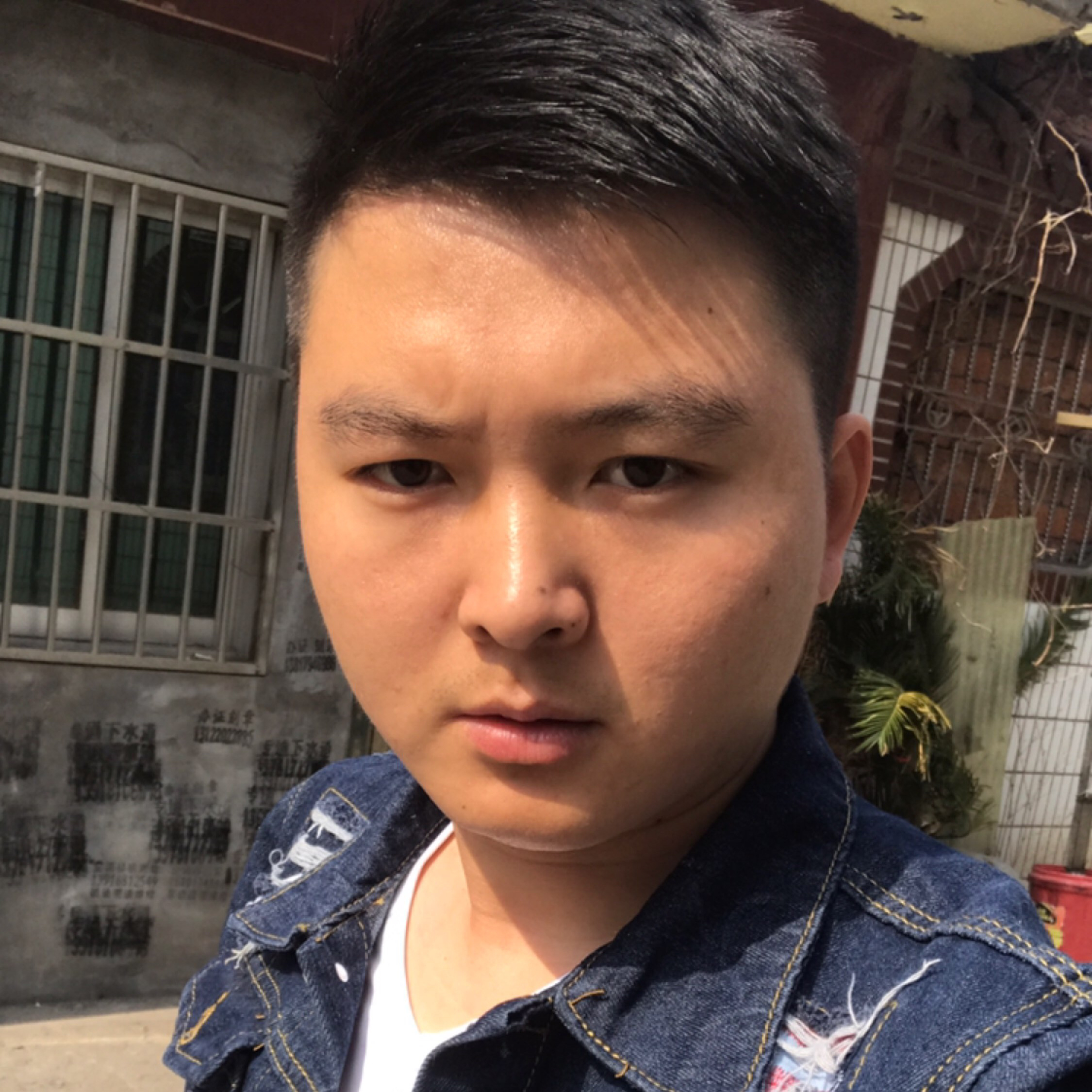 寻找最后的港湾