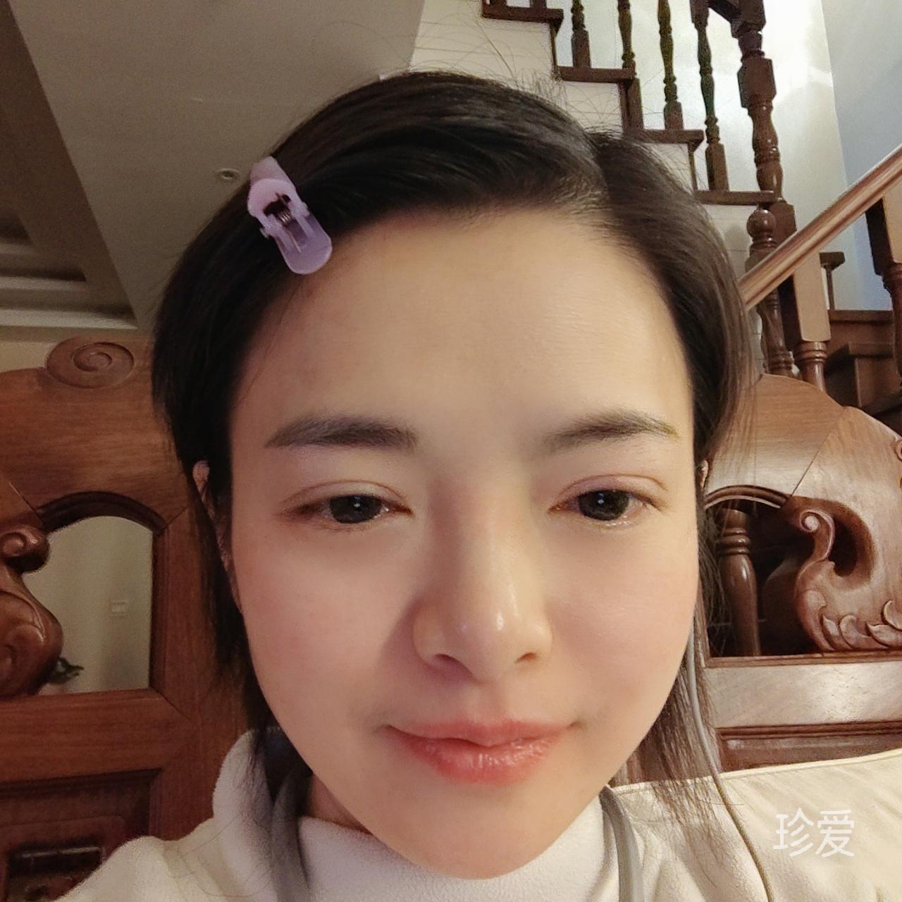 东倒西歪的鹦鹉