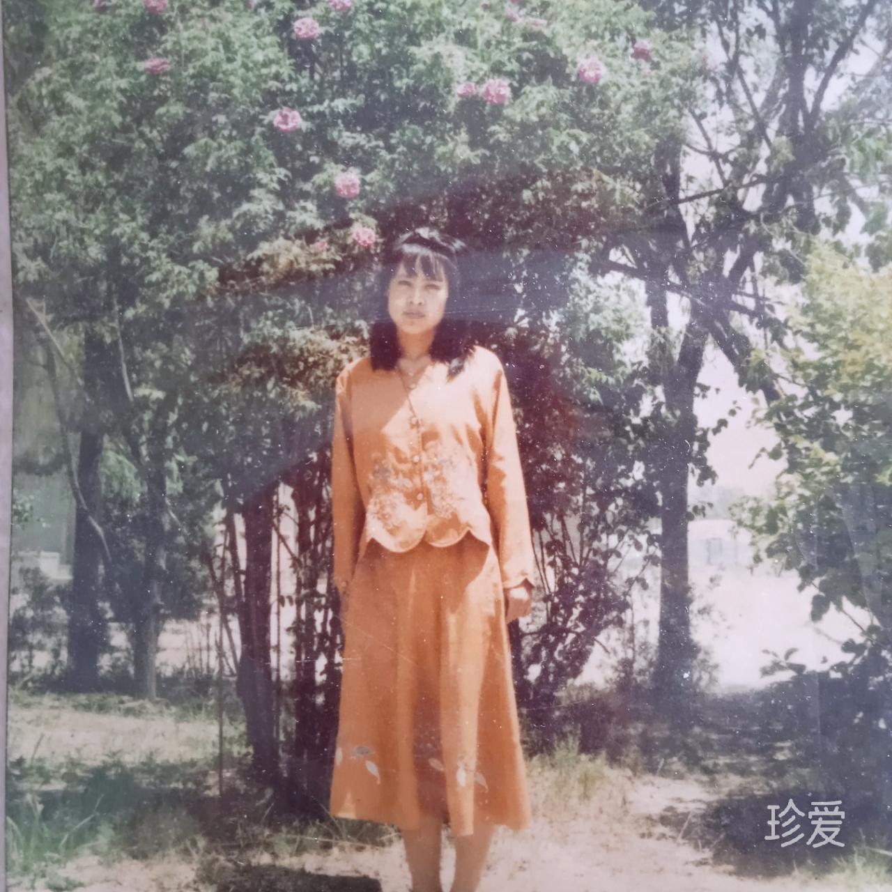 一帆风顺